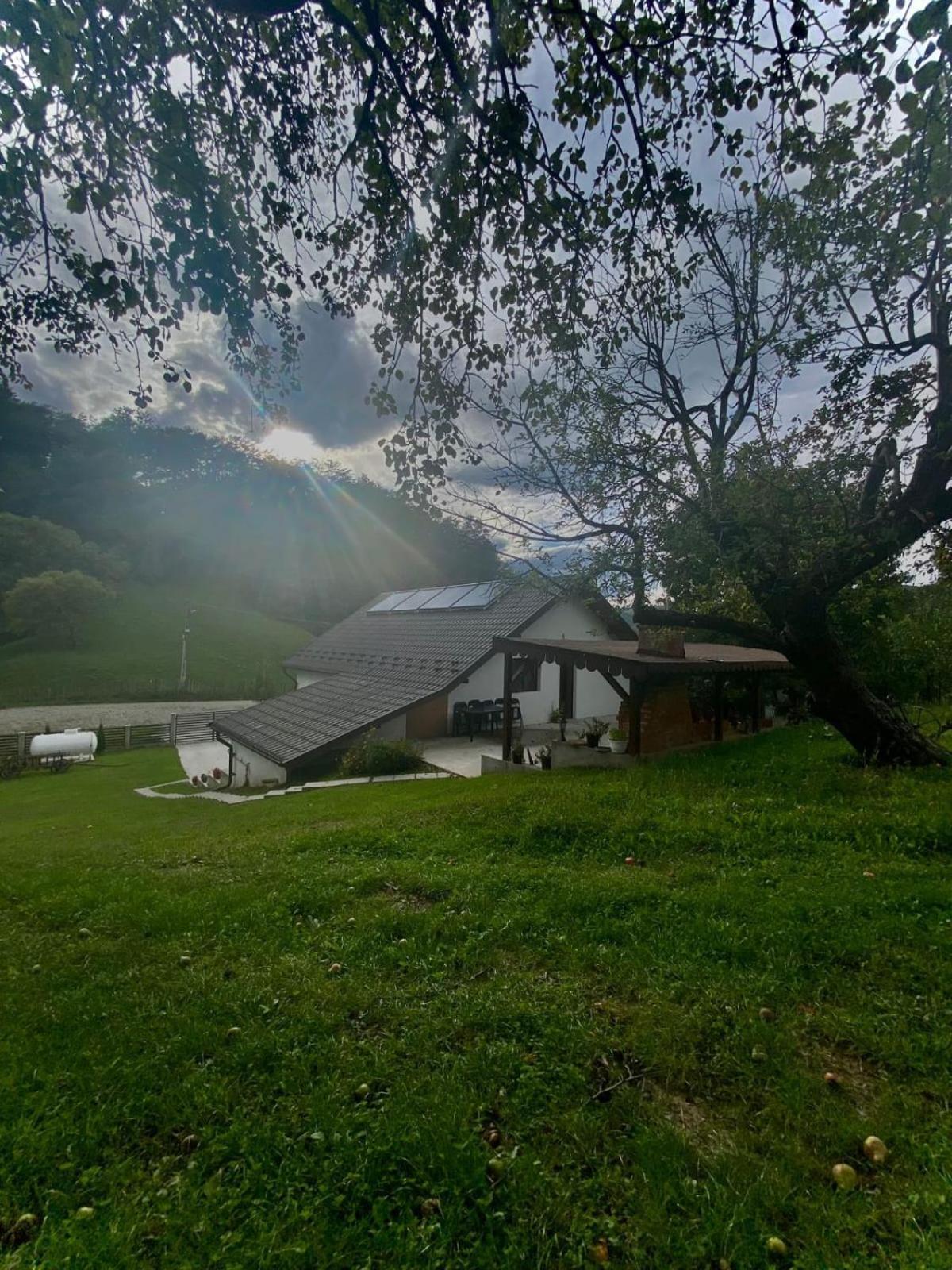 Casa Alex Hotel Curtea De Arges Bagian luar foto